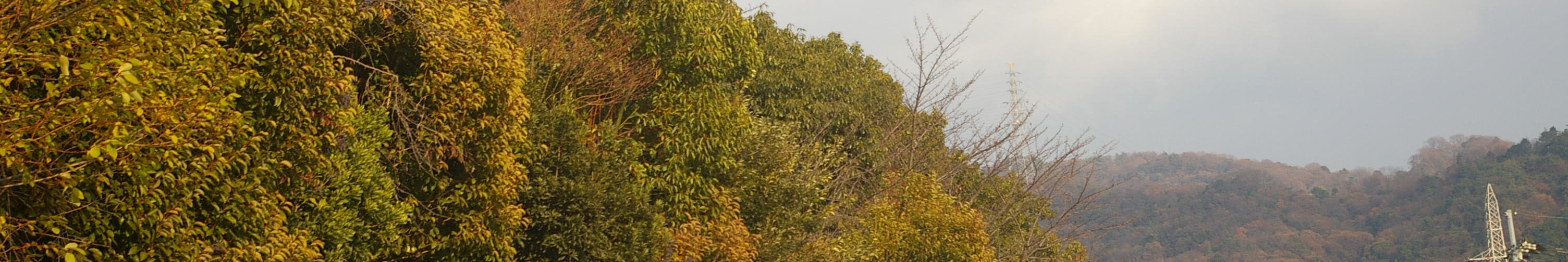 連絡先 宇治市 精華町の介護タクシー ウエルフェア光合同会社